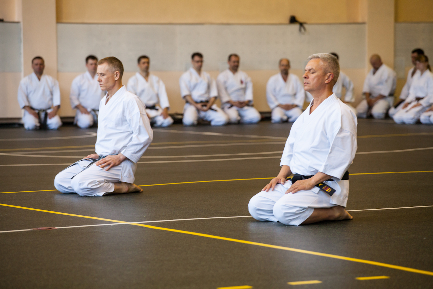 8 International Traditional Karate-do seminar
