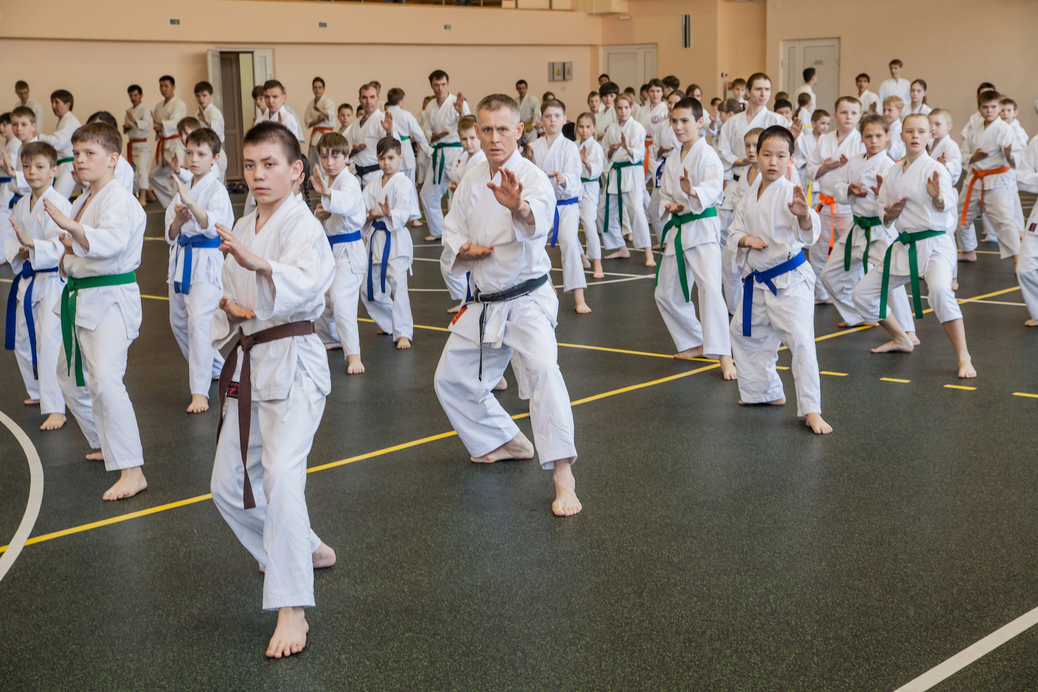9 International Traditional Karate-do seminar